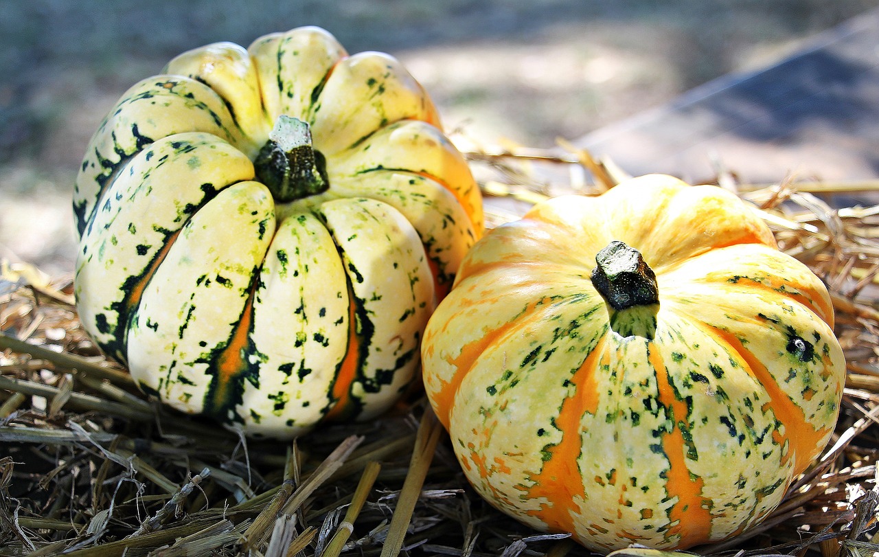10 Easy Crafts for Celebrating Thanksgiving with Family